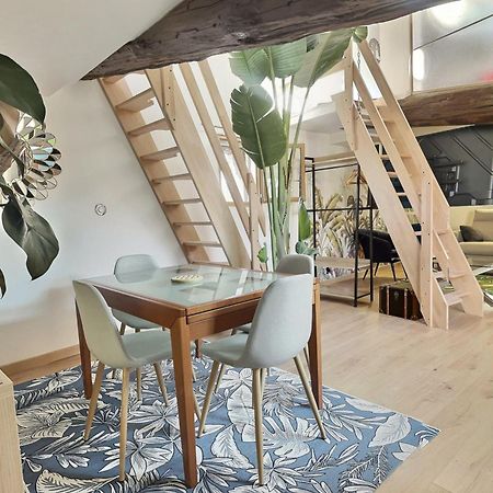 شقة Jungle Loft Beziers Centre المظهر الخارجي الصورة