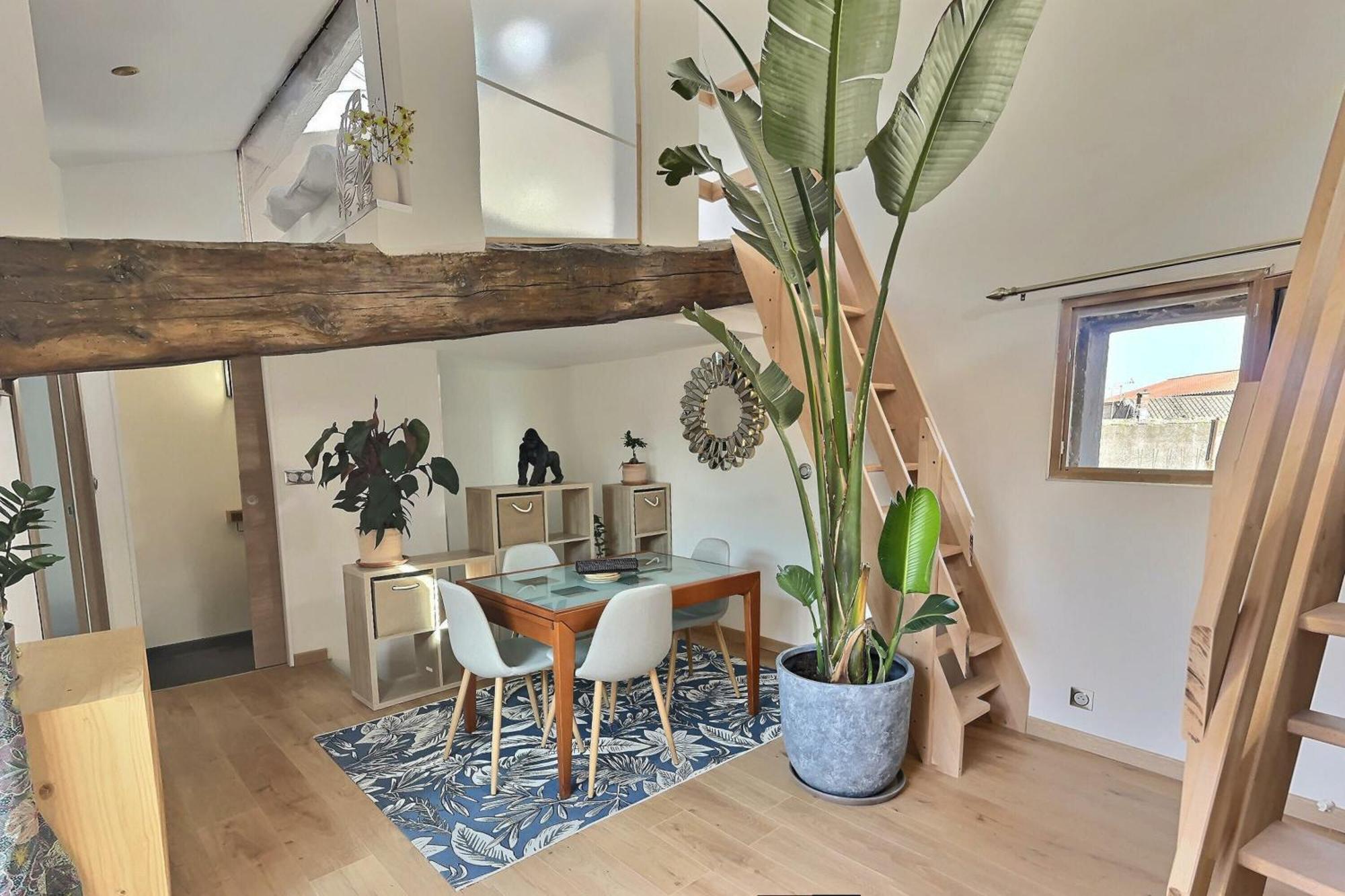شقة Jungle Loft Beziers Centre المظهر الخارجي الصورة